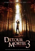 Pochette du film Détour mortel 3