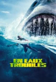 Pochette du film En Eaux Troubles