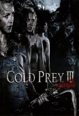 Pochette du film Cold Prey 3