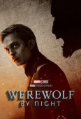 Pochette du film Werewolf by Night