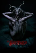 Pochette du film Wretched