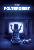 Pochette du film Poltergeist