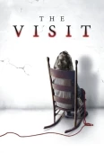 Pochette du film Visit, the