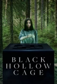 Pochette du film Black Hollow Cage
