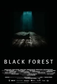 Pochette du film Secrets de la forêt noire, les