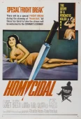 Pochette du film Homicide