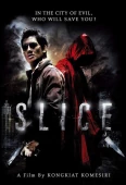 Pochette du film Slice