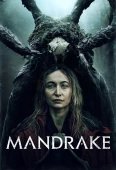 Pochette du film Mandrake
