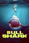 Pochette du film Bull Shark