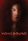 Pochette du film Homebound