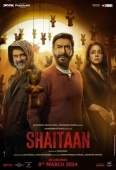 Pochette du film Shaitaan