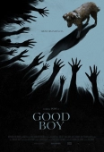Pochette du film Good Boy