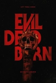 Pochette du film Evil Dead Burn