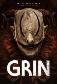 Pochette du film Grin