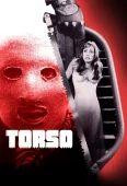 Pochette du film Torso