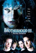 Pochette du film Brother Hood 3 : Young Demons