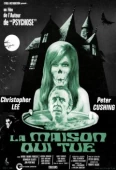 Pochette du film Maison qui Tue