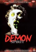 Pochette du film Demon Spirit