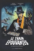 Pochette du film Train des Epouvantes