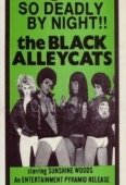 Pochette du film Black Alley Cats