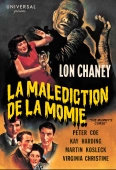 Pochette du film Malédiction de la Momie