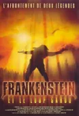Pochette du film Frankenstein et le Loup Garou