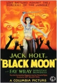 Pochette du film Black Moon