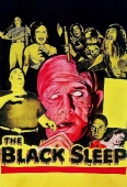 Pochette du film Black Sleep