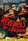 Pochette du film Werewolf of London