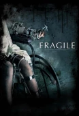 Pochette du film Fragile 