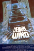 Pochette du film Demon Wind