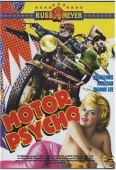 Pochette du film Motor Psycho