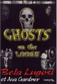 Pochette du film Ghosts on the Loose