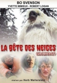 Pochette du film Snowbeast