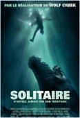 Pochette du film Solitaire