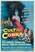 Pochette du film Cult of the Cobra