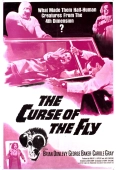 Pochette du film Curse of the Fly