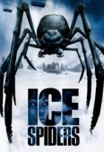 Pochette du film Ice Spider