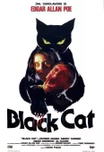 Pochette du film Chat Noir, le