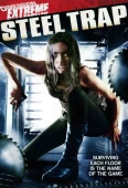 Pochette du film Steel Trap