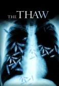 Pochette du film Thaw, the
